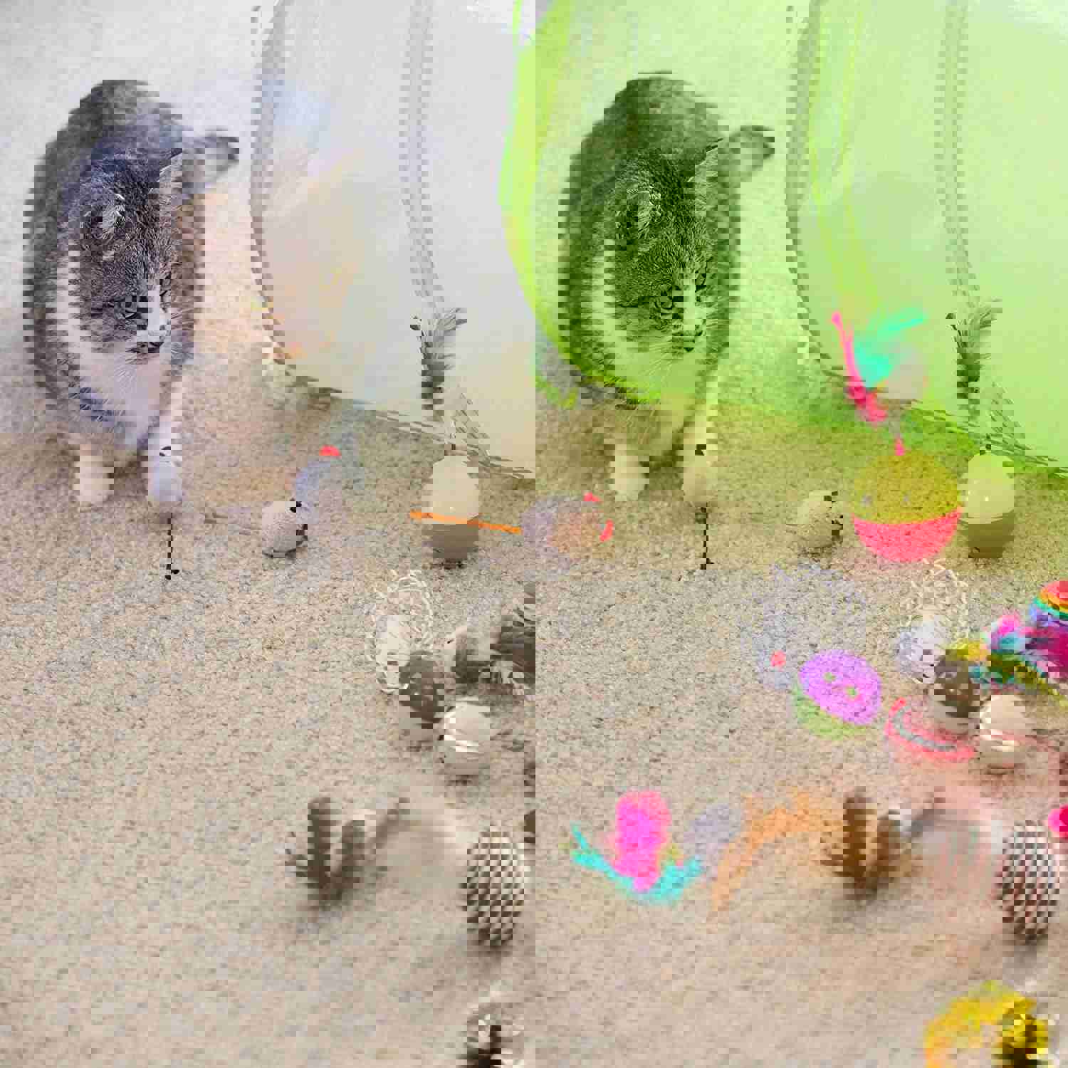 21Pcs Interactive Cat Toys Kit with Collapsible Tunnel, Feather Balls, and Mice - Safe & Fun Play Supplies for Cats and Kittens