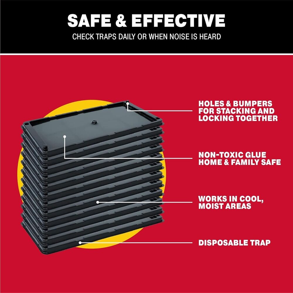 12 Pack Non-Toxic Mouse & Insect Traps with Strong Adhesive Glue